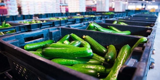 Бразильская фабрика продуктов питания стала центром евангелизма