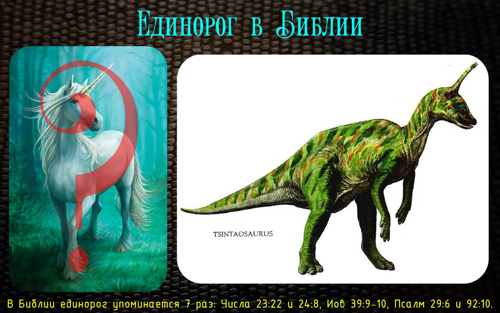Динозавры — друзья креационистов