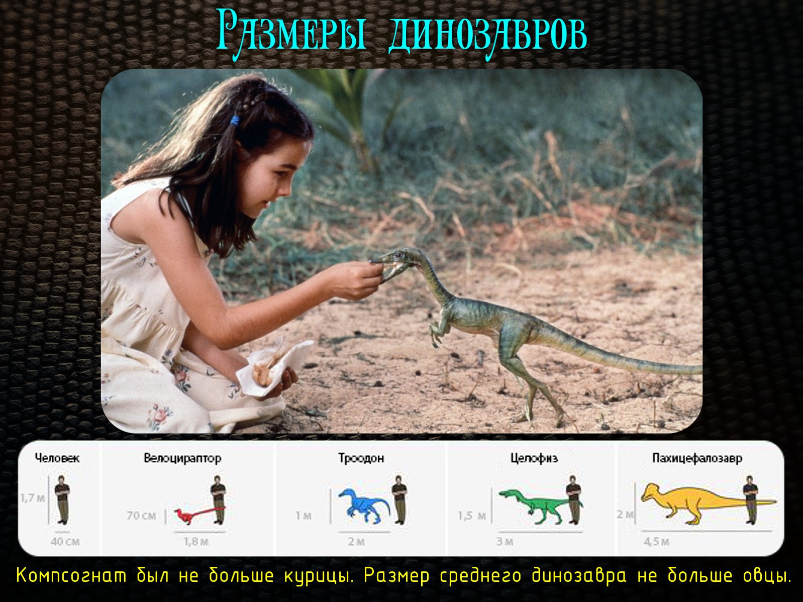 Динозавры — друзья креационистов