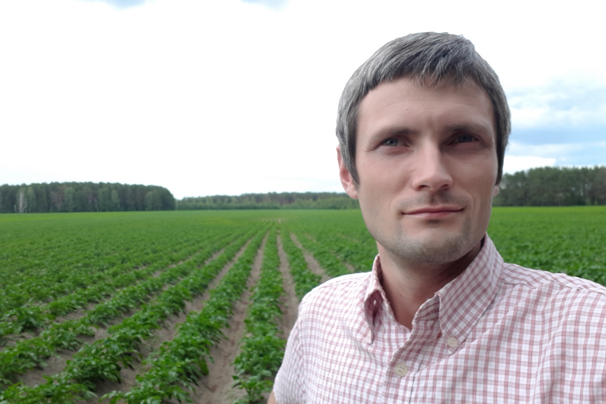 Картопля адвентистів Бородюків — овочевий бренд на ринку