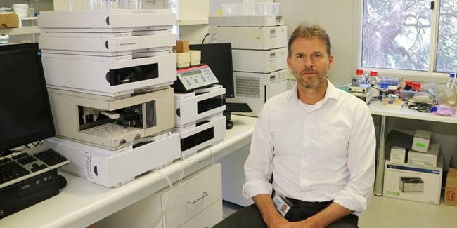 Кофеин отрицательно влияет на здоровье, говорит исследование из Австралии