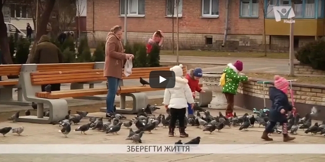 Небезпеки теплого сезону. Як захистити своє здоров'я
