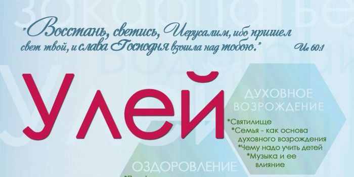 Проект "Улей"