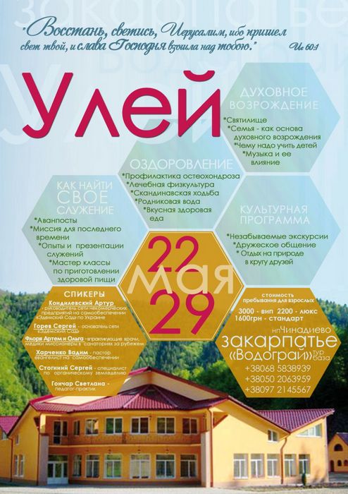 Проект "Улей"