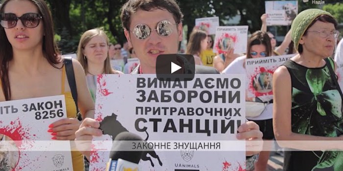 В Україні "законно" калічать диких тварин