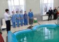 Духовная жатва в Понорнице